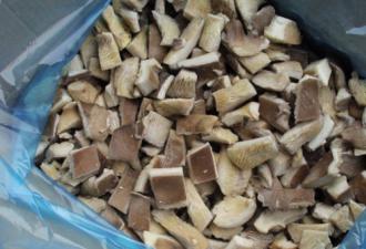 Ciuperci stridii - pregătirea pentru iarnă în borcane, congelarea și uscarea: cele mai bune rețete