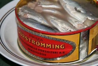 Surströmming: Patlayıcı İsveç ringa balığı
