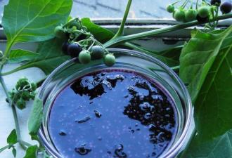 Sunberry recepti za vid